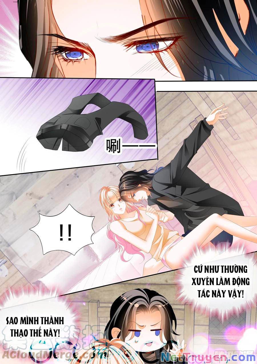 đọc truyện Bá Đạo Tiểu Thúc, Xin Trêu Chọc Vừa Thôi! Chương 252 ảnh 12 tại Thiên Thai Truyện