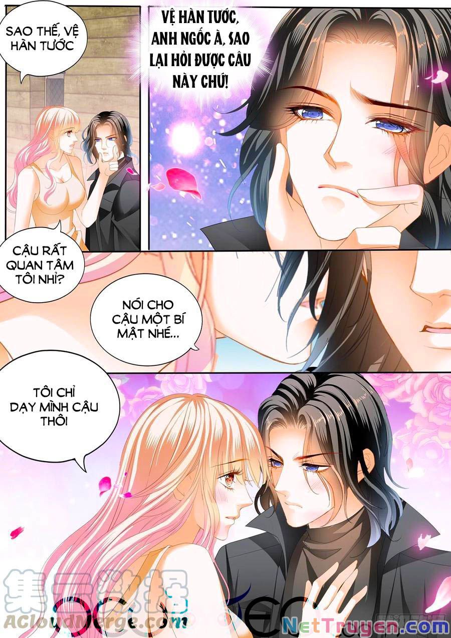 đọc truyện Bá Đạo Tiểu Thúc, Xin Trêu Chọc Vừa Thôi! Chương 252 ảnh 5 tại Thiên Thai Truyện