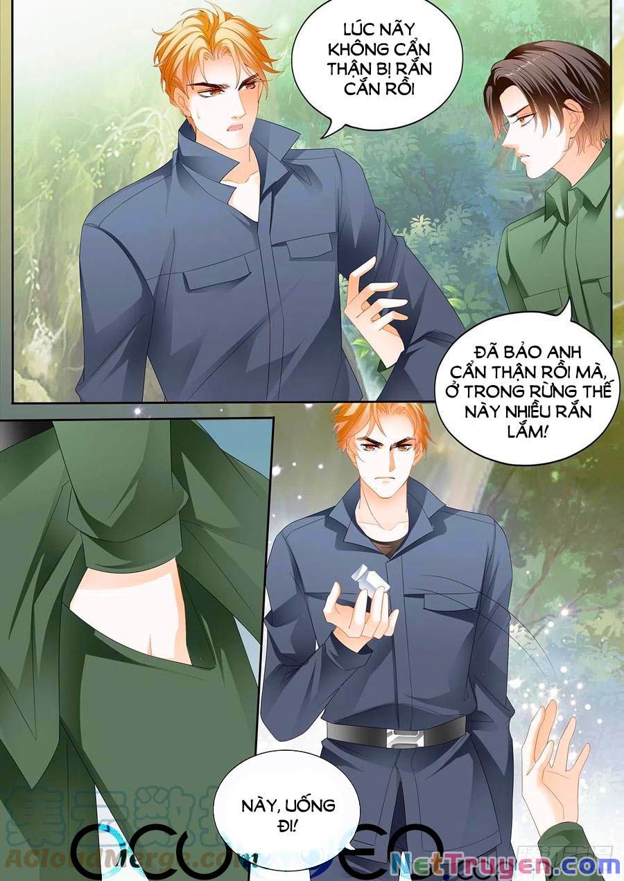 đọc truyện Bá Đạo Tiểu Thúc, Xin Trêu Chọc Vừa Thôi! Chương 254 ảnh 4 tại Thiên Thai Truyện