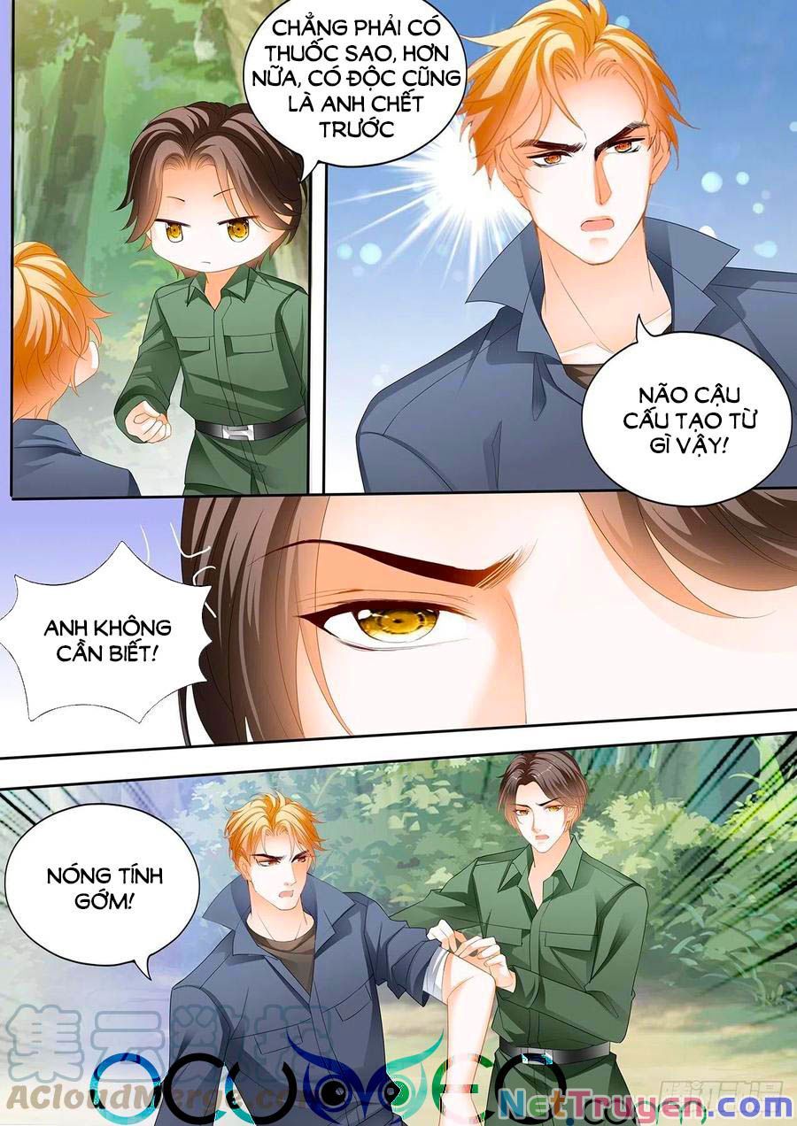 đọc truyện Bá Đạo Tiểu Thúc, Xin Trêu Chọc Vừa Thôi! Chương 254 ảnh 8 tại Thiên Thai Truyện