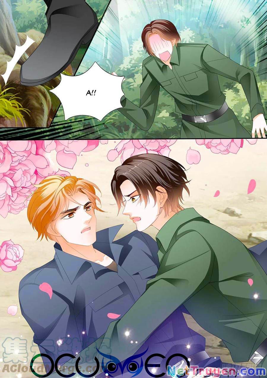 đọc truyện Bá Đạo Tiểu Thúc, Xin Trêu Chọc Vừa Thôi! Chương 254 ảnh 9 tại Thiên Thai Truyện