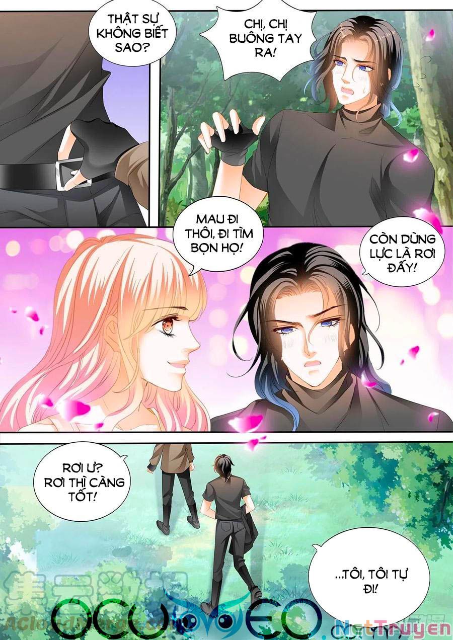 đọc truyện Bá Đạo Tiểu Thúc, Xin Trêu Chọc Vừa Thôi! Chương 258 ảnh 12 tại Thiên Thai Truyện