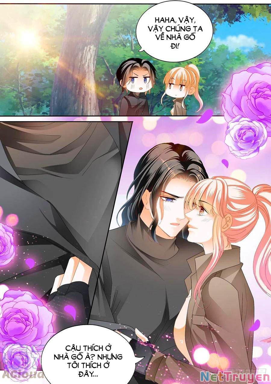 đọc truyện Bá Đạo Tiểu Thúc, Xin Trêu Chọc Vừa Thôi! Chương 260 ảnh 12 tại Thiên Thai Truyện