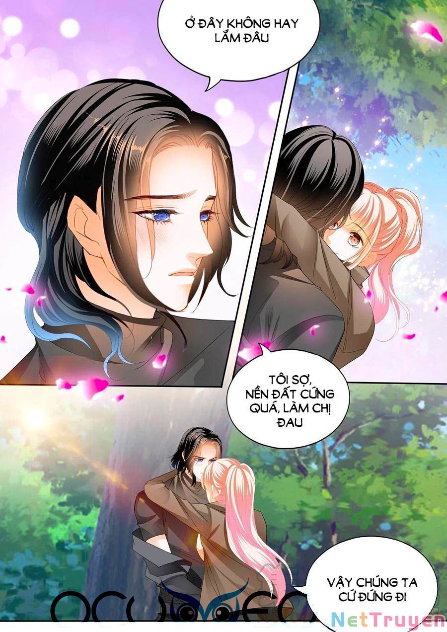 đọc truyện Bá Đạo Tiểu Thúc, Xin Trêu Chọc Vừa Thôi! Chương 260 ảnh 13 tại Thiên Thai Truyện