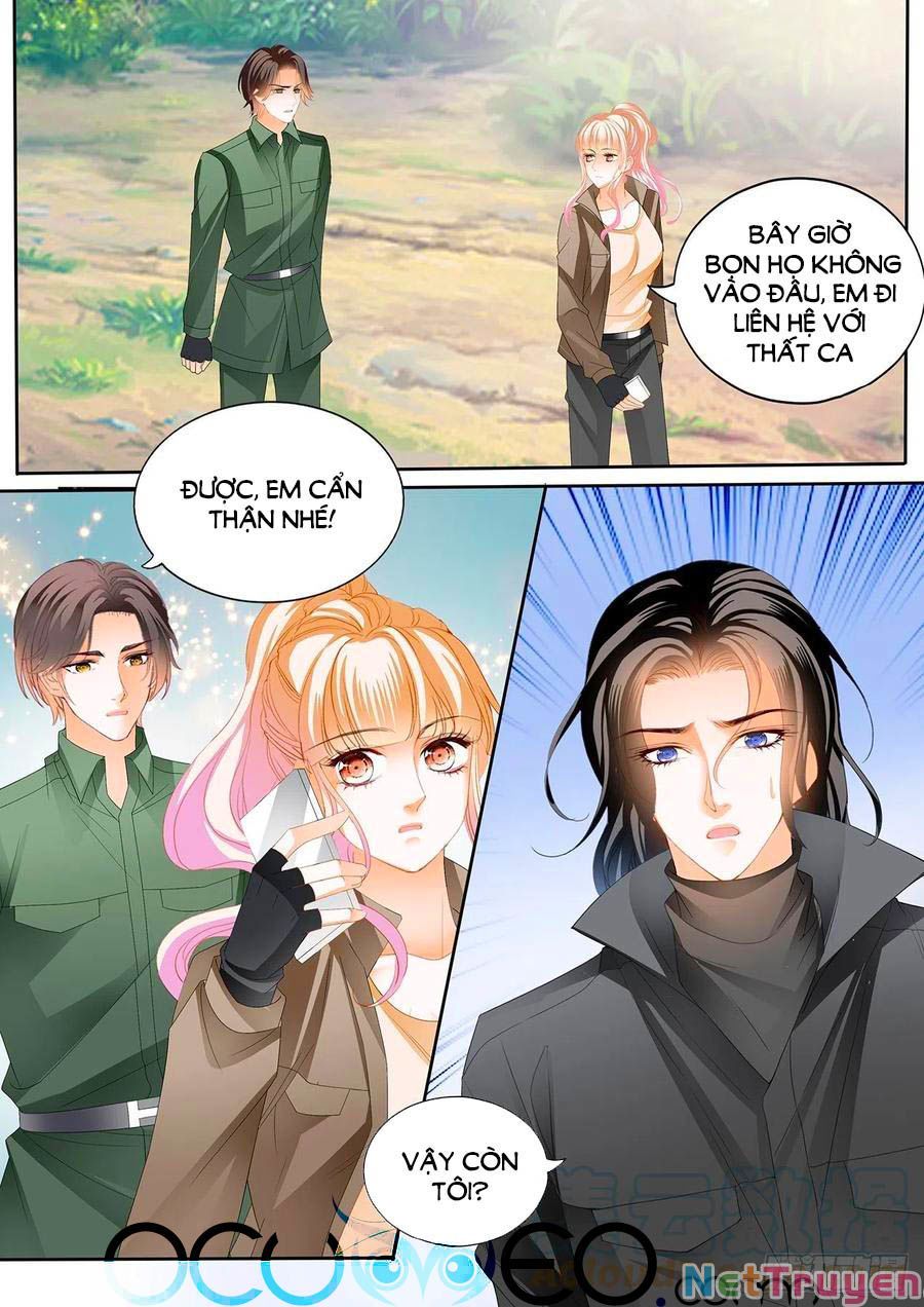 đọc truyện Bá Đạo Tiểu Thúc, Xin Trêu Chọc Vừa Thôi! Chương 260 ảnh 7 tại Thiên Thai Truyện