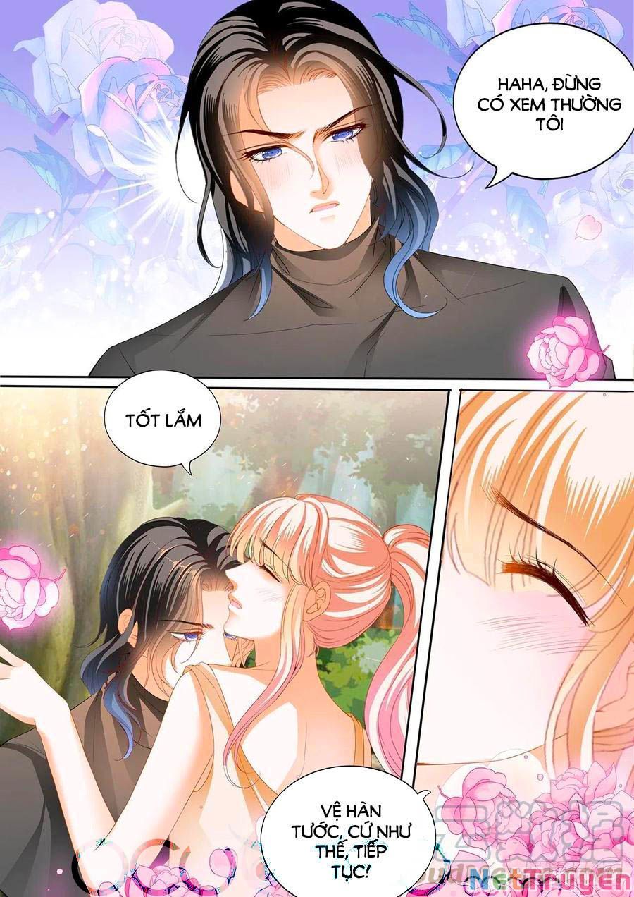 đọc truyện Bá Đạo Tiểu Thúc, Xin Trêu Chọc Vừa Thôi! Chương 262 ảnh 8 tại Thiên Thai Truyện