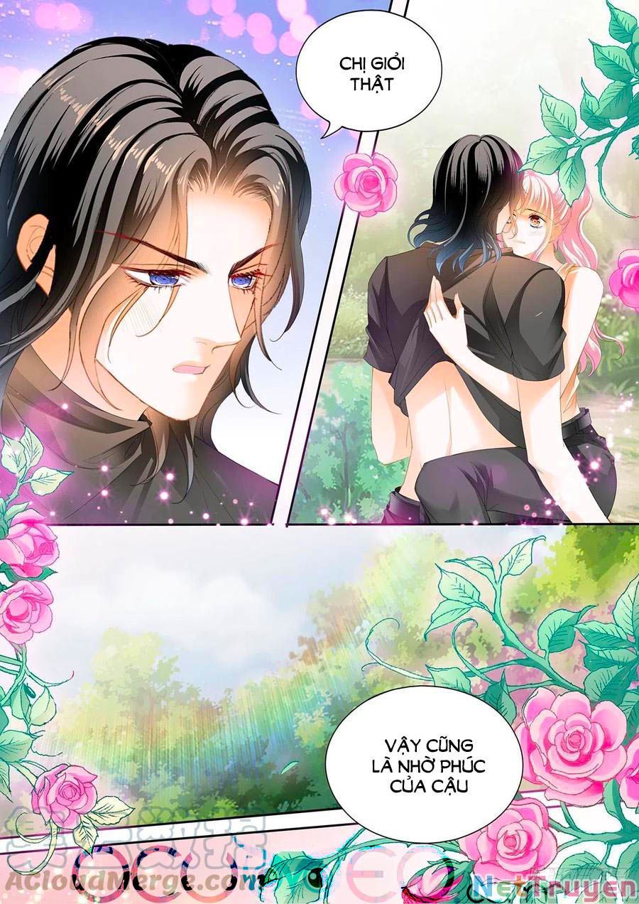 đọc truyện Bá Đạo Tiểu Thúc, Xin Trêu Chọc Vừa Thôi! Chương 262 ảnh 9 tại Thiên Thai Truyện