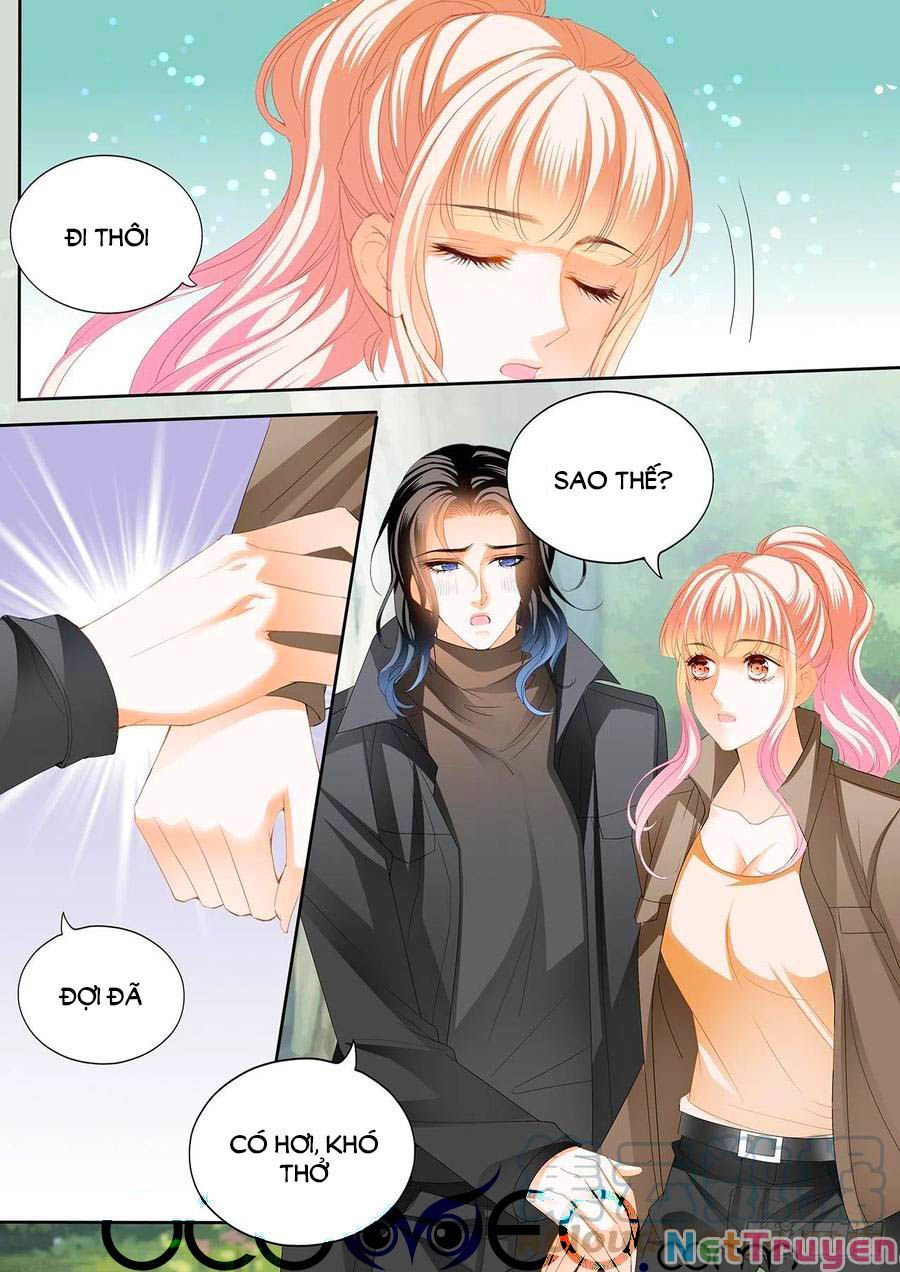 đọc truyện Bá Đạo Tiểu Thúc, Xin Trêu Chọc Vừa Thôi! Chương 263 ảnh 3 tại Thiên Thai Truyện