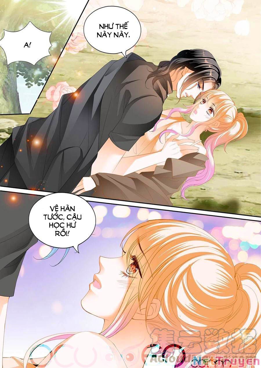 đọc truyện Bá Đạo Tiểu Thúc, Xin Trêu Chọc Vừa Thôi! Chương 263 ảnh 5 tại Thiên Thai Truyện