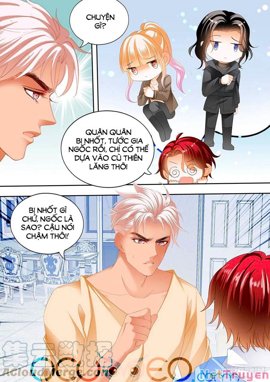 đọc truyện Bá Đạo Tiểu Thúc, Xin Trêu Chọc Vừa Thôi! Chương 264 ảnh 5 tại Thiên Thai Truyện