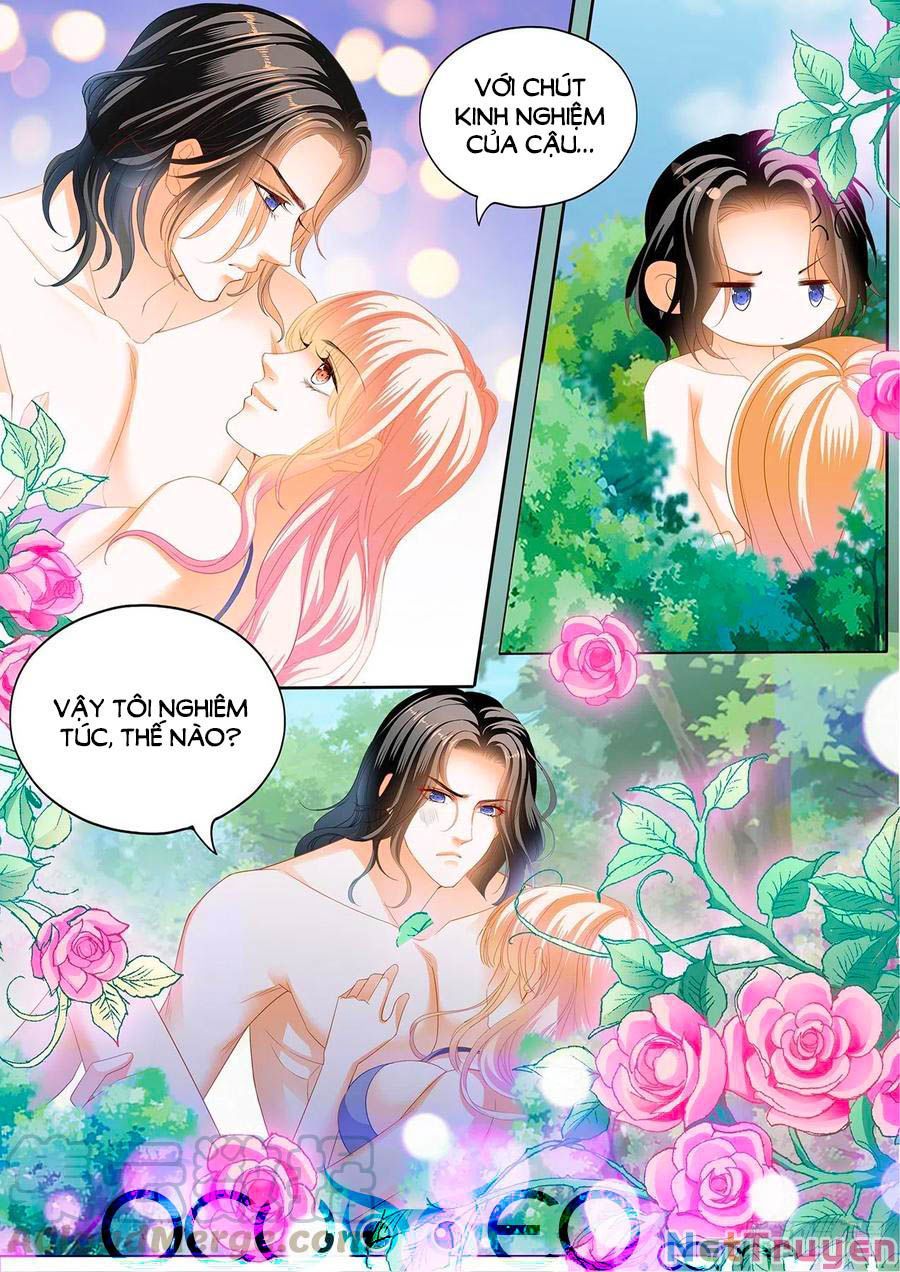 đọc truyện Bá Đạo Tiểu Thúc, Xin Trêu Chọc Vừa Thôi! Chương 266 ảnh 11 tại Thiên Thai Truyện