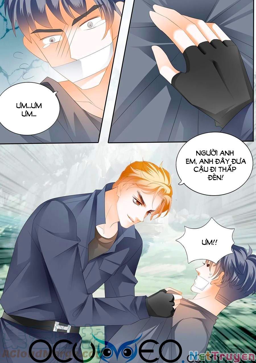 đọc truyện Bá Đạo Tiểu Thúc, Xin Trêu Chọc Vừa Thôi! Chương 267 ảnh 8 tại Thiên Thai Truyện