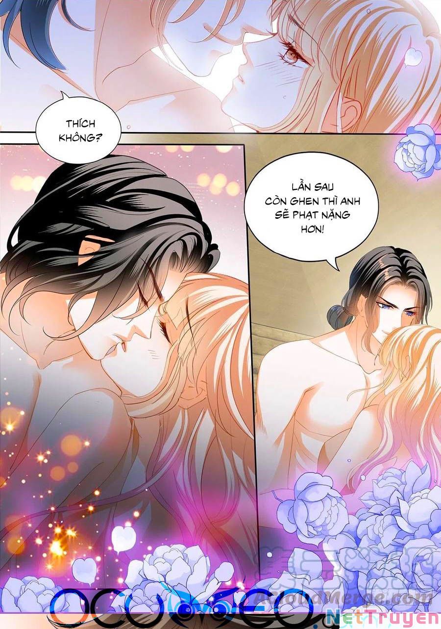 đọc truyện Bá Đạo Tiểu Thúc, Xin Trêu Chọc Vừa Thôi! Chương 277 ảnh 13 tại Thiên Thai Truyện