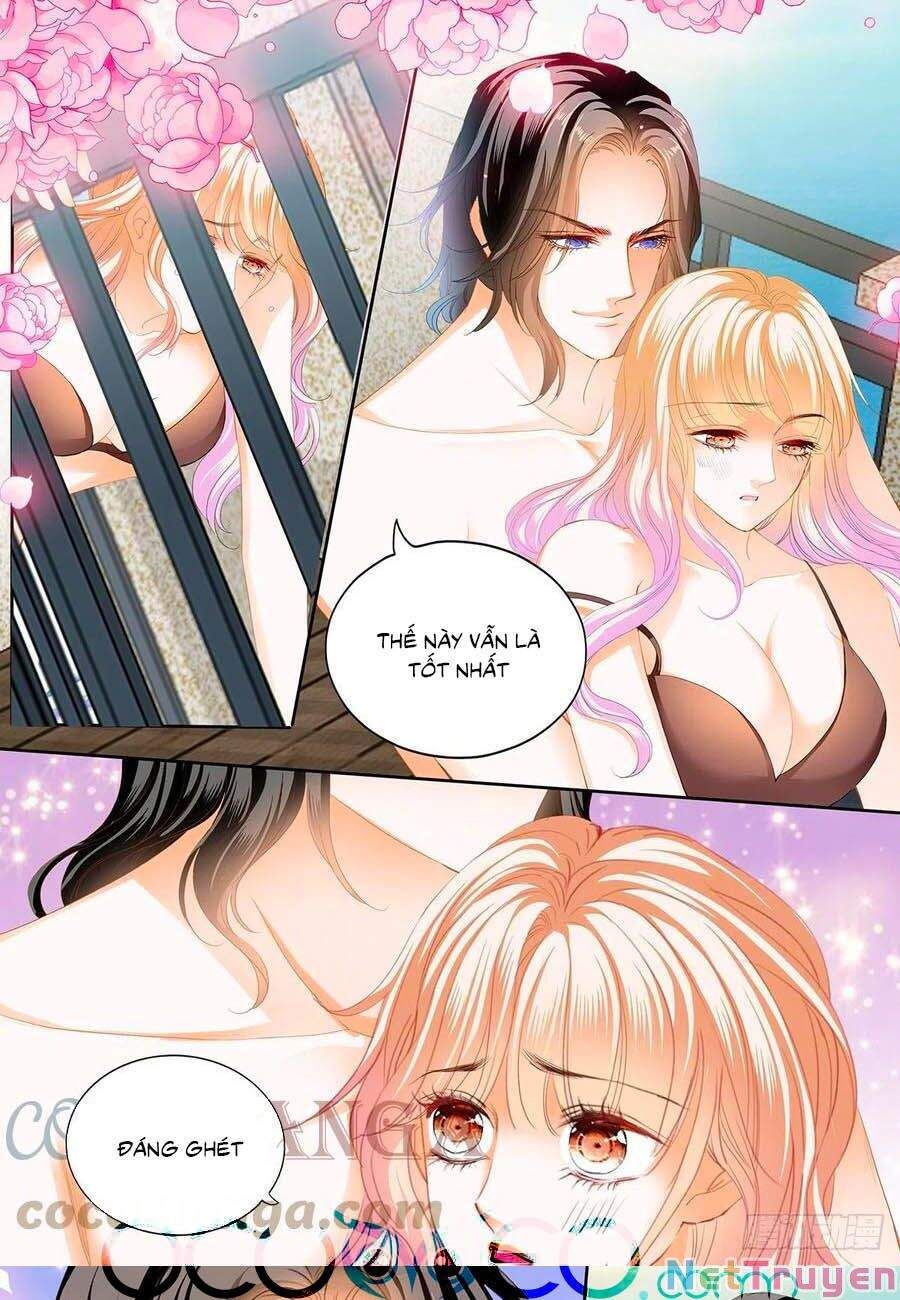 đọc truyện Bá Đạo Tiểu Thúc, Xin Trêu Chọc Vừa Thôi! Chương 280 ảnh 12 tại Thiên Thai Truyện