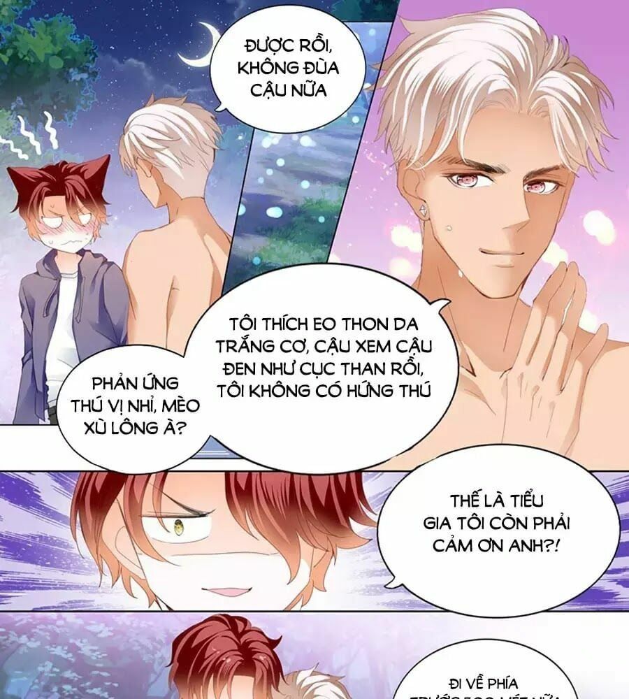 đọc truyện Bá Đạo Tiểu Thúc, Xin Trêu Chọc Vừa Thôi! Chương 66 ảnh 19 tại Thiên Thai Truyện