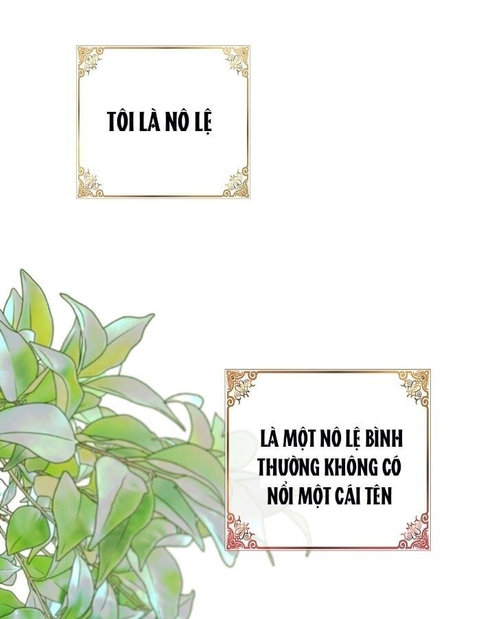 đọc truyện Ba Người Anh Trai Của Tôi Là Bạo Quân Chương 1 ảnh 4 tại Thiên Thai Truyện