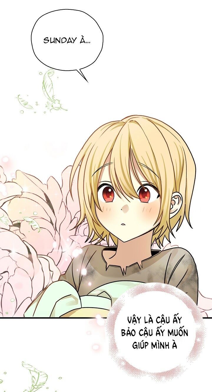 đọc truyện Ba Người Anh Trai Của Tôi Là Bạo Quân Chương 1 ảnh 49 tại Thiên Thai Truyện