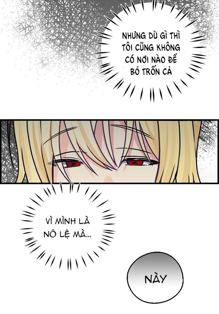 đọc truyện Ba Người Anh Trai Của Tôi Là Bạo Quân Chương 1 ảnh 11 tại Thiên Thai Truyện