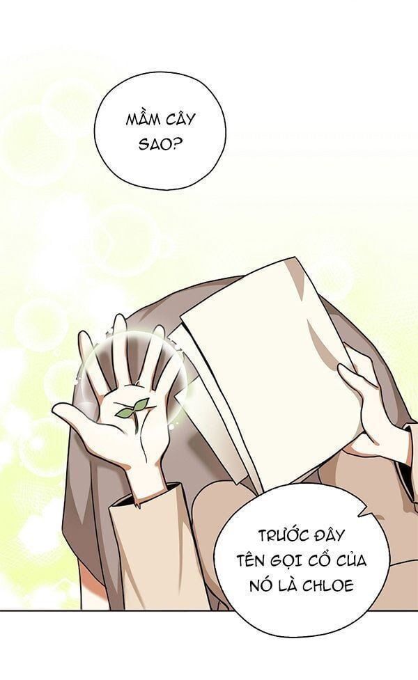 đọc truyện Ba Người Anh Trai Của Tôi Là Bạo Quân Chương 10 ảnh 13 tại Thiên Thai Truyện