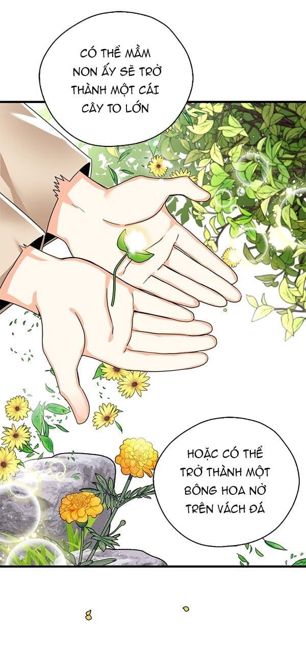 đọc truyện Ba Người Anh Trai Của Tôi Là Bạo Quân Chương 10 ảnh 33 tại Thiên Thai Truyện