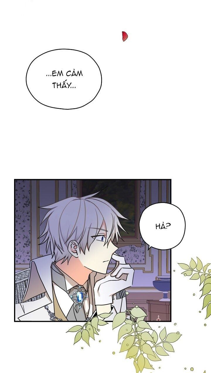 đọc truyện Ba Người Anh Trai Của Tôi Là Bạo Quân Chương 17 ảnh 65 tại Thiên Thai Truyện