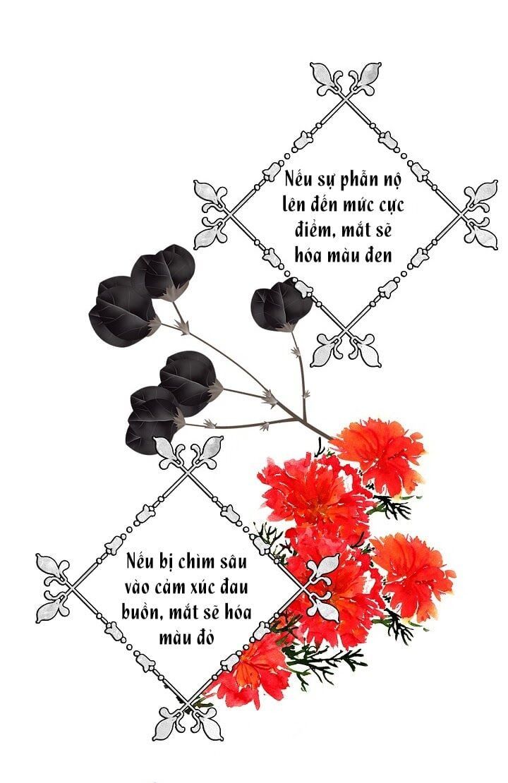 đọc truyện Ba Người Anh Trai Của Tôi Là Bạo Quân Chương 18 ảnh 19 tại Thiên Thai Truyện