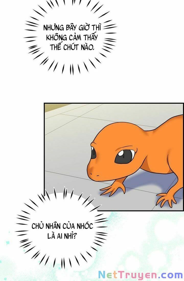 đọc truyện Ba Người Anh Trai Của Tôi Là Bạo Quân Chương 28 ảnh 46 tại Thiên Thai Truyện