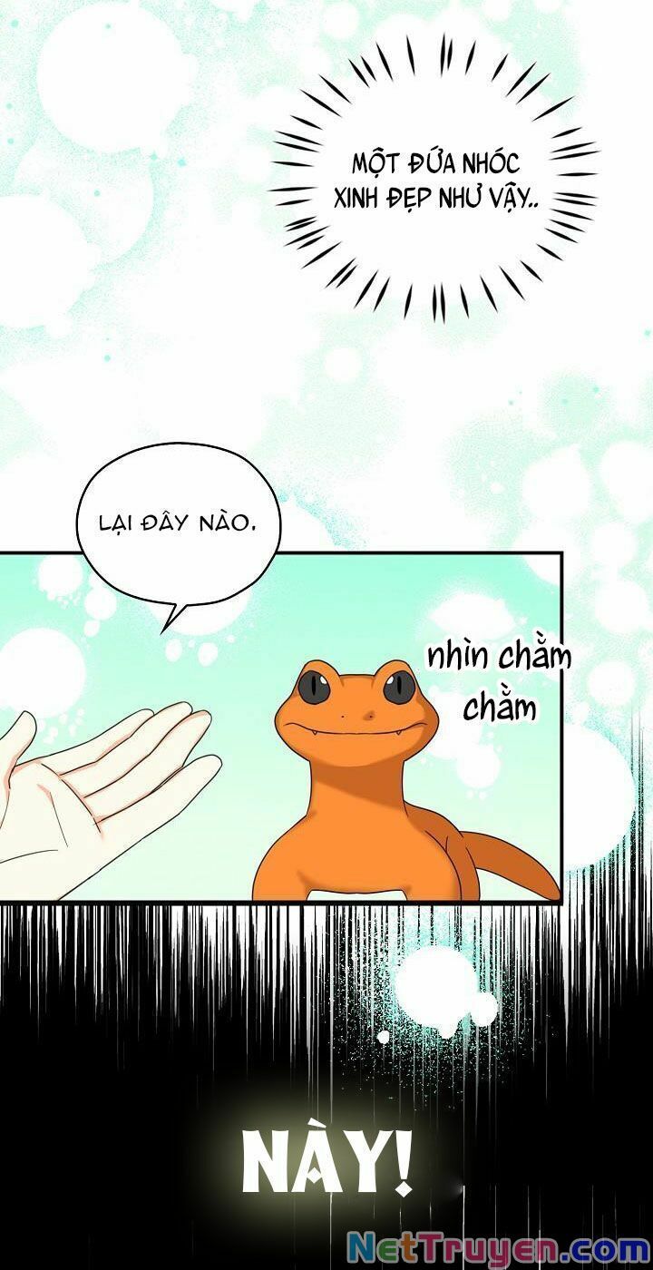 đọc truyện Ba Người Anh Trai Của Tôi Là Bạo Quân Chương 28 ảnh 47 tại Thiên Thai Truyện