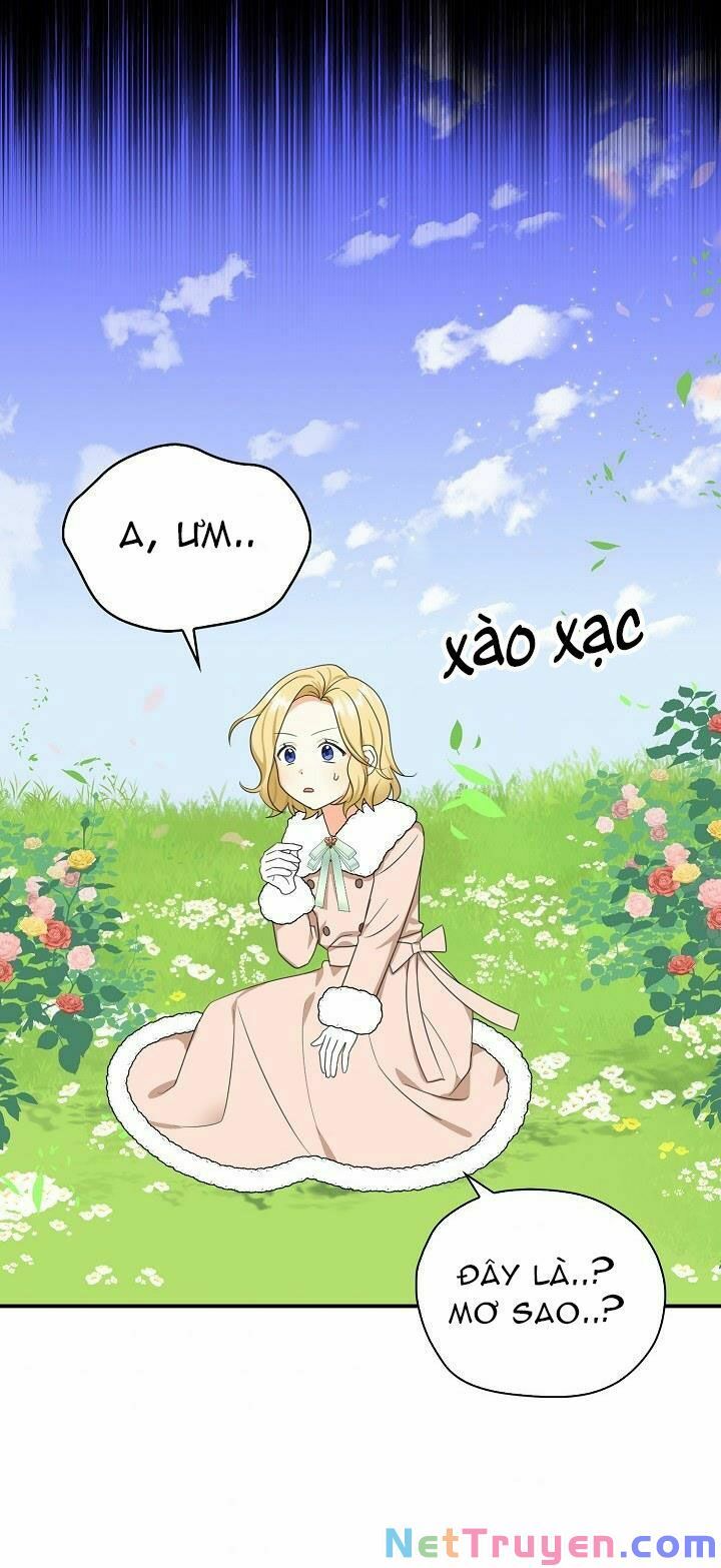 đọc truyện Ba Người Anh Trai Của Tôi Là Bạo Quân Chương 28 ảnh 49 tại Thiên Thai Truyện