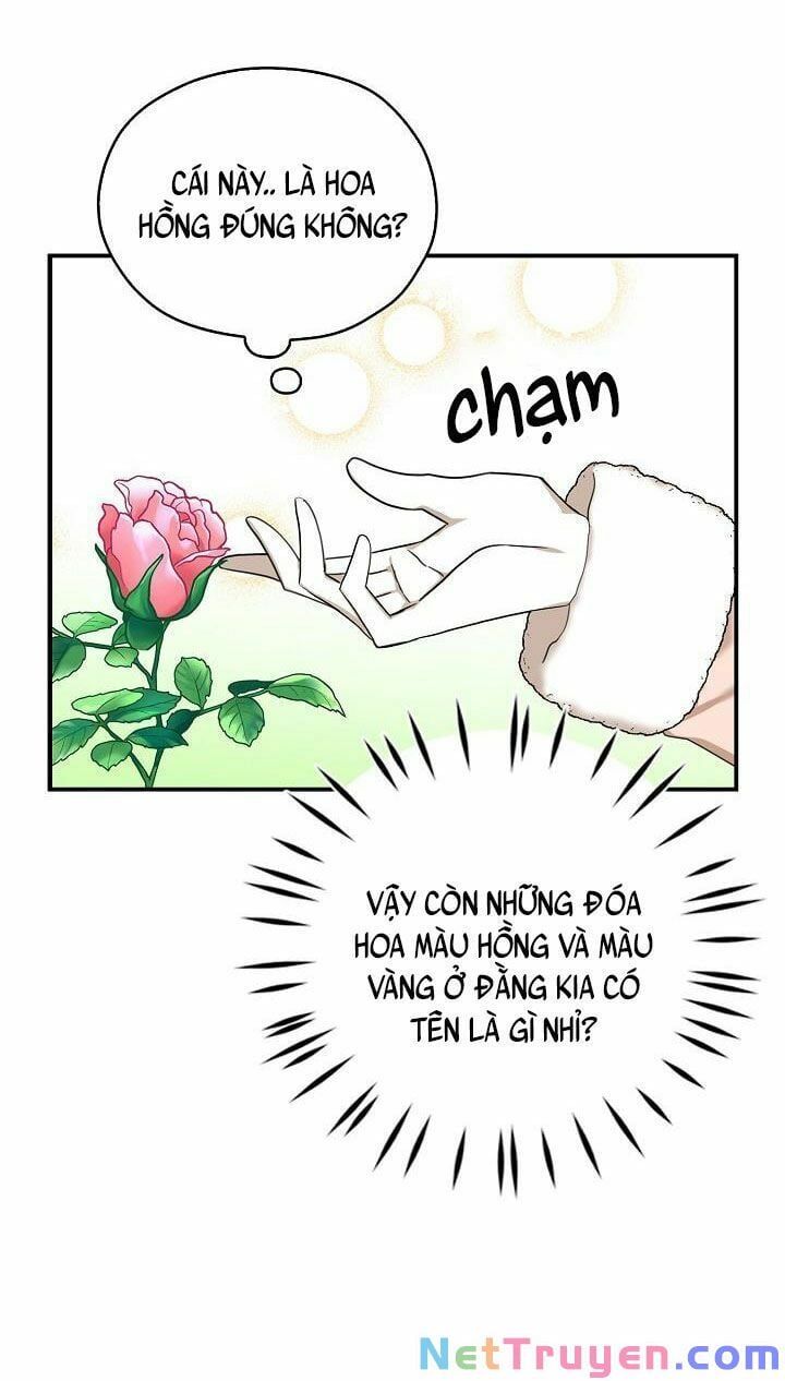 đọc truyện Ba Người Anh Trai Của Tôi Là Bạo Quân Chương 28 ảnh 55 tại Thiên Thai Truyện