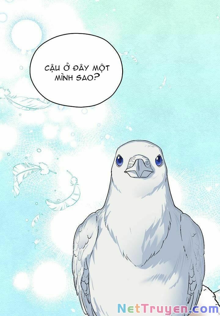 đọc truyện Ba Người Anh Trai Của Tôi Là Bạo Quân Chương 28 ảnh 65 tại Thiên Thai Truyện