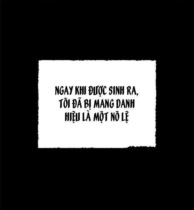 đọc truyện Ba Người Anh Trai Của Tôi Là Bạo Quân Chương 4 ảnh 19 tại Thiên Thai Truyện