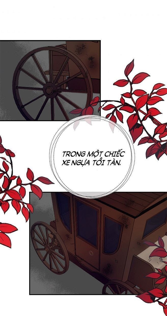 đọc truyện Ba Người Anh Trai Của Tôi Là Bạo Quân Chương 5 ảnh 75 tại Thiên Thai Truyện