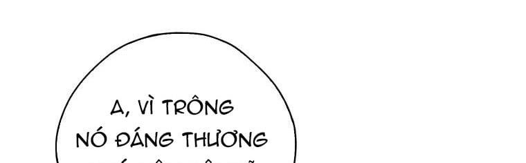 đọc truyện Ba Người Anh Trai Của Tôi Là Bạo Quân Chương 66 ảnh 122 tại Thiên Thai Truyện