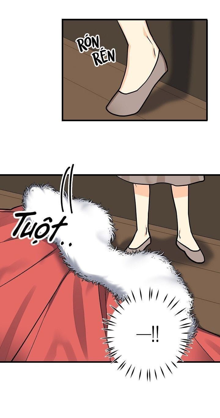 đọc truyện Ba Người Anh Trai Của Tôi Là Bạo Quân Chương 7 ảnh 15 tại Thiên Thai Truyện