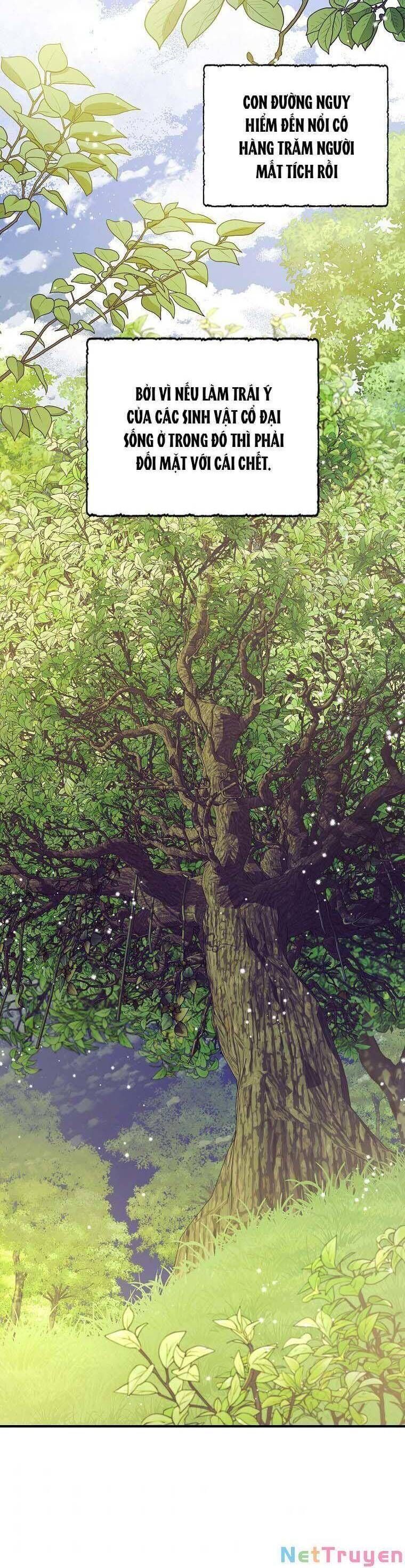 đọc truyện Ba Người Anh Trai Của Tôi Là Bạo Quân Chương 73 ảnh 20 tại Thiên Thai Truyện