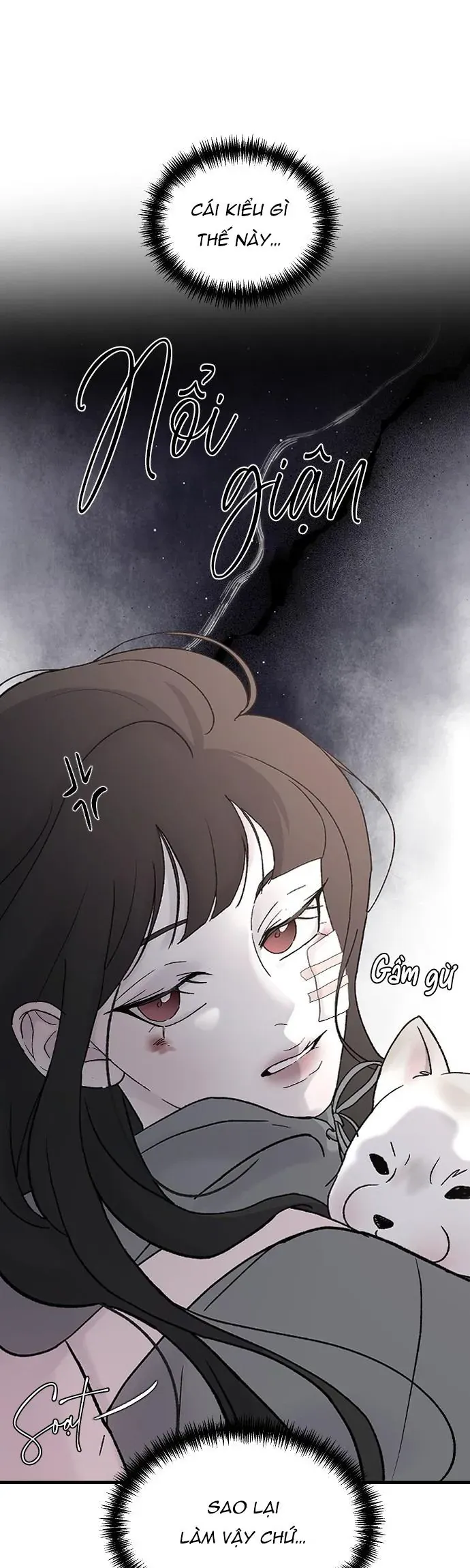 đọc truyện Ba Người Anh Trai Chương 99 ảnh 16 tại Thiên Thai Truyện