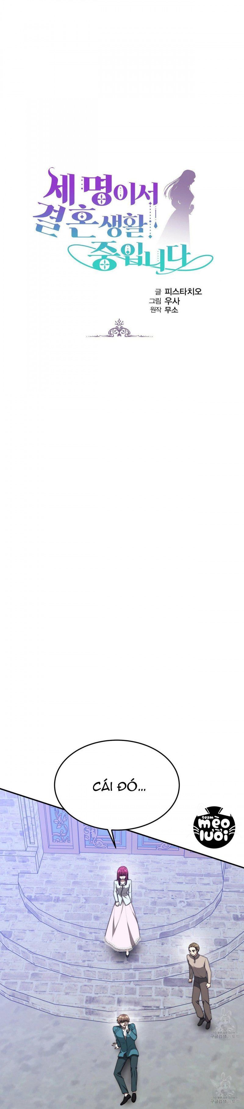 đọc truyện Ba Người Chúng Ta Đã Kết Hôn Chương 45 ảnh 3 tại Thiên Thai Truyện