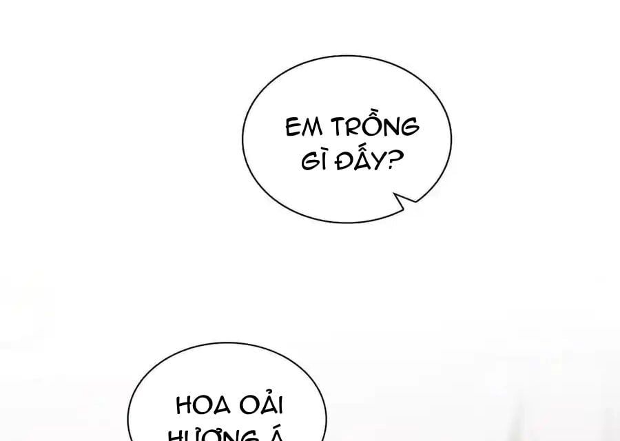 đọc truyện Bà Xã Nhà Tôi Đến Từ Ngàn Năm Trước Chương 274 ảnh 51 tại Giả Dược