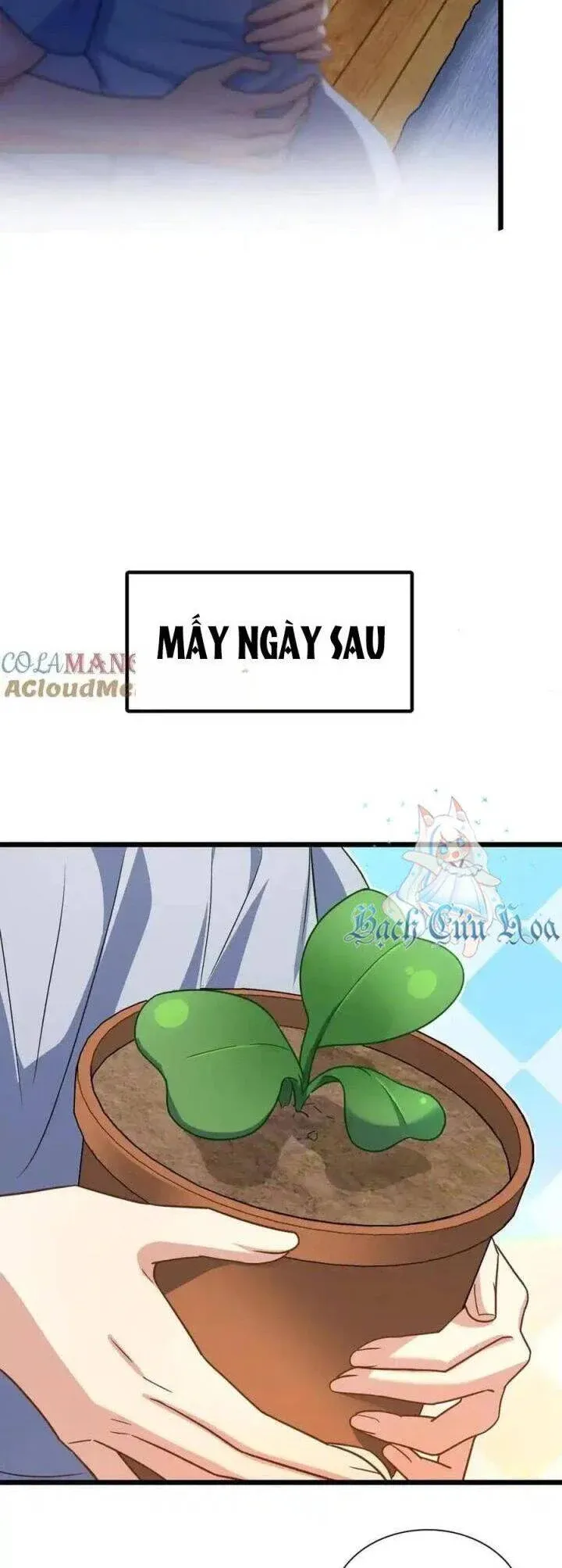 đọc truyện Bà Xã Nhà Tôi Đến Từ Ngàn Năm Trước Chương 284 ảnh 26 tại Giả Dược