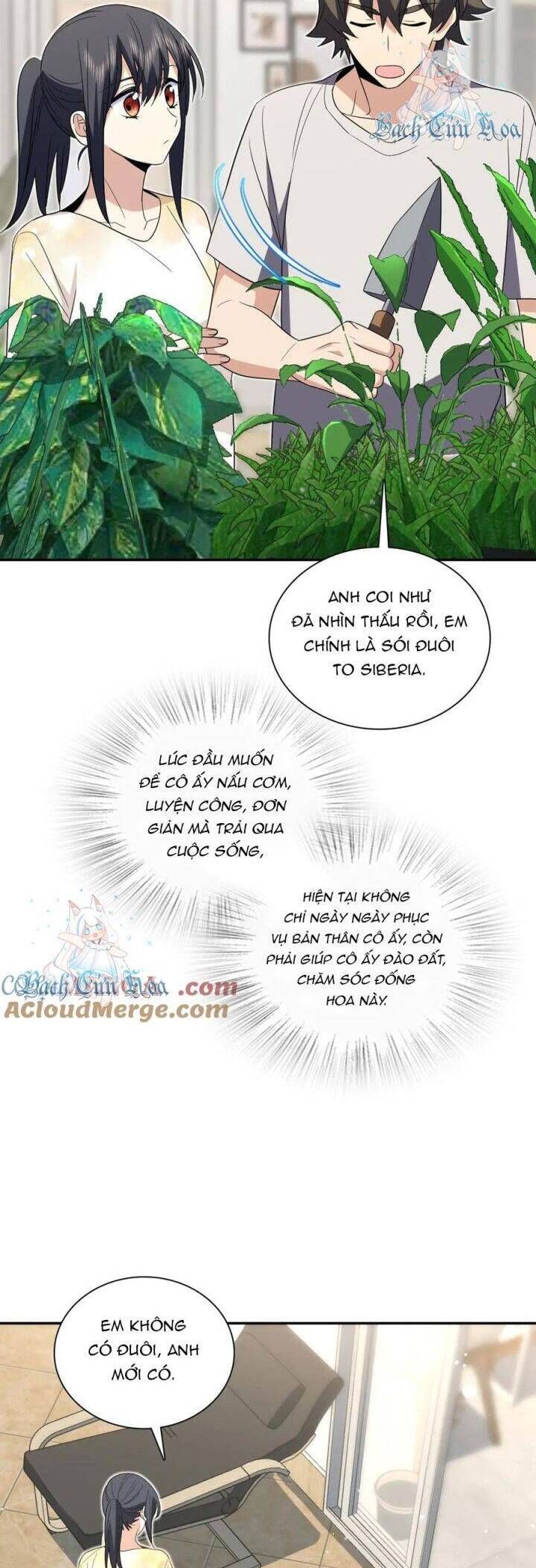 đọc truyện Bà Xã Nhà Tôi Đến Từ Ngàn Năm Trước Chương 323 ảnh 17 tại Giả Dược