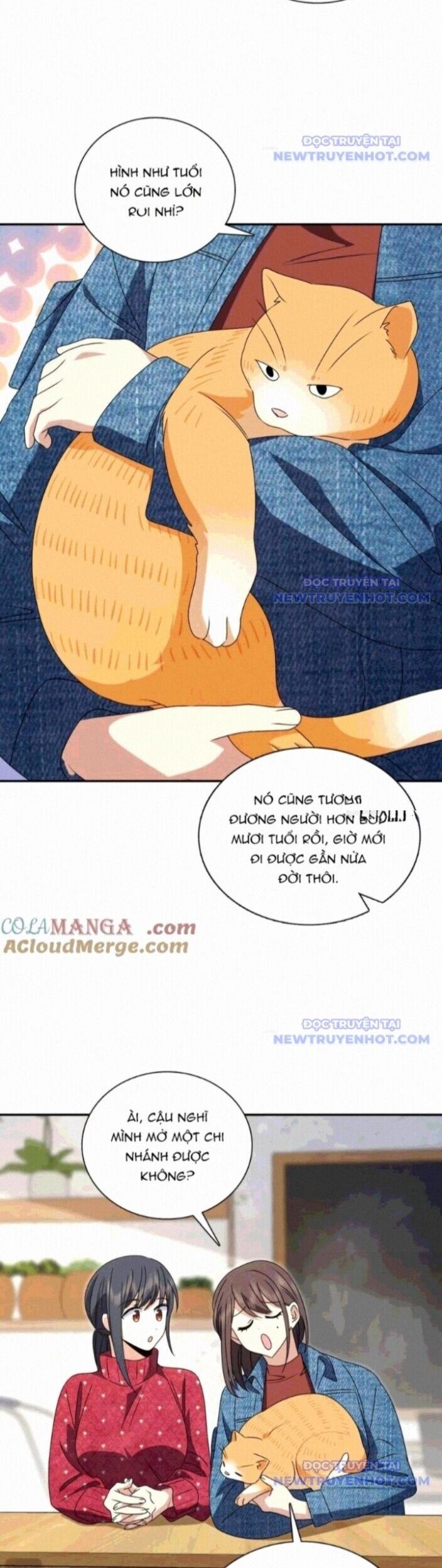 đọc truyện Bà Xã Nhà Tôi Đến Từ Ngàn Năm Trước Chương 356 ảnh 14 tại Giả Dược