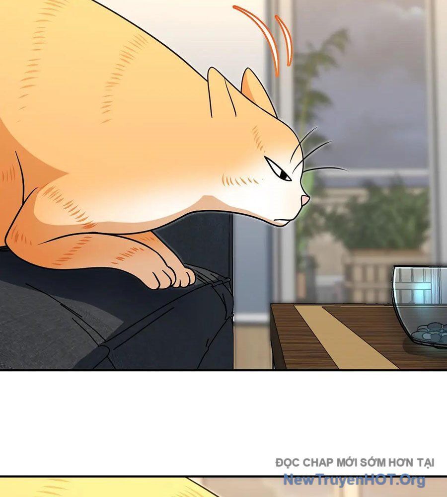 đọc truyện Bà Xã Nhà Tôi Đến Từ Ngàn Năm Trước Chương 401 ảnh 81 tại Thiên Thai Truyện