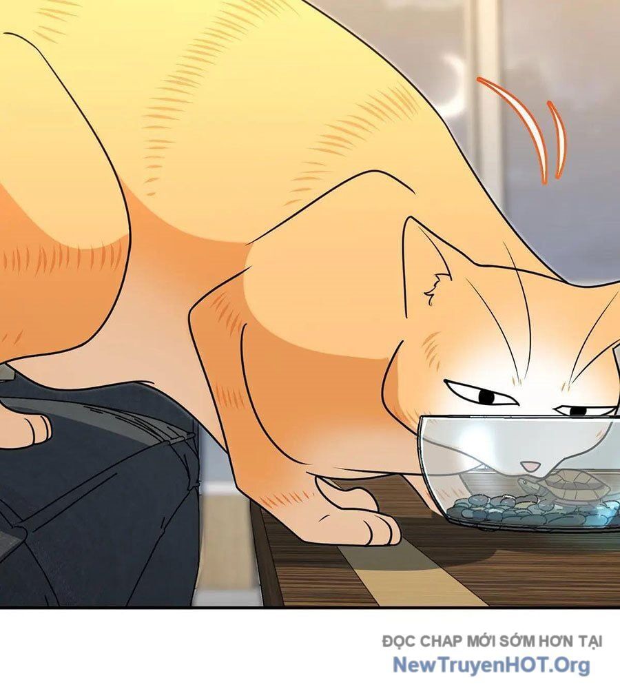 đọc truyện Bà Xã Nhà Tôi Đến Từ Ngàn Năm Trước Chương 401 ảnh 82 tại Thiên Thai Truyện