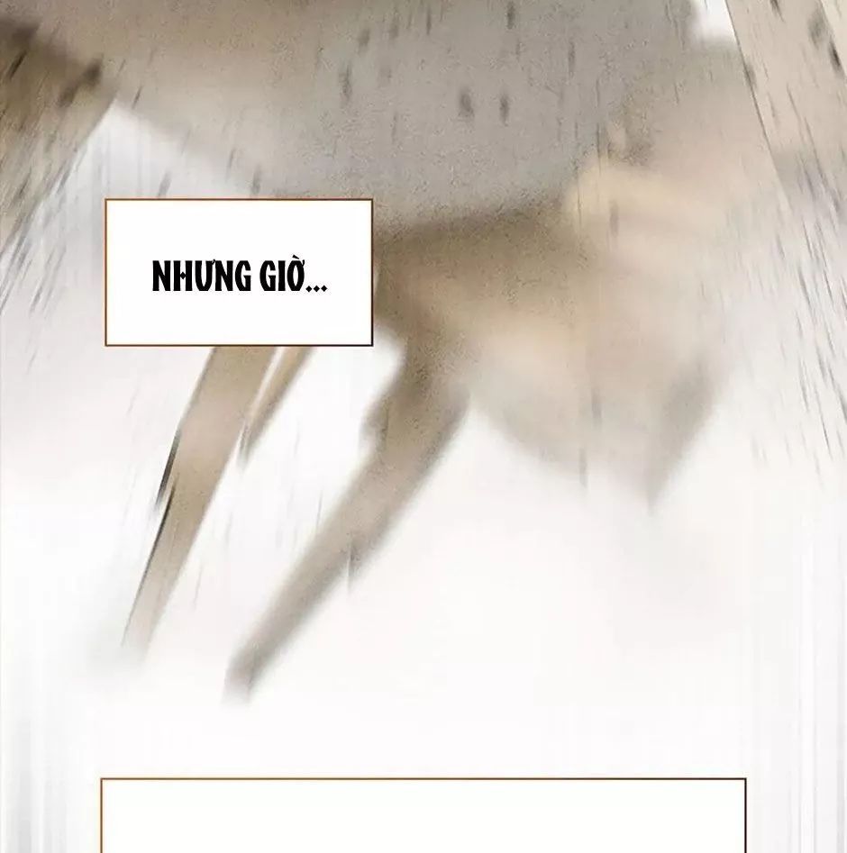 đọc truyện Bác Sĩ Phẫu Thuật Hoàn Hảo Chương 102 ảnh 97 tại Thiên Thai Truyện