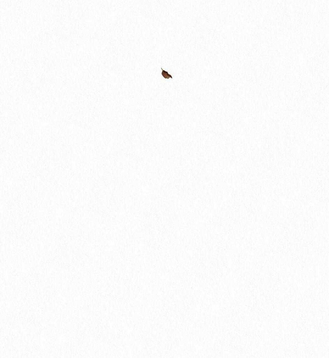 đọc truyện Bản Chất Tà Ác Chương 26 ảnh 8 tại Thiên Thai Truyện