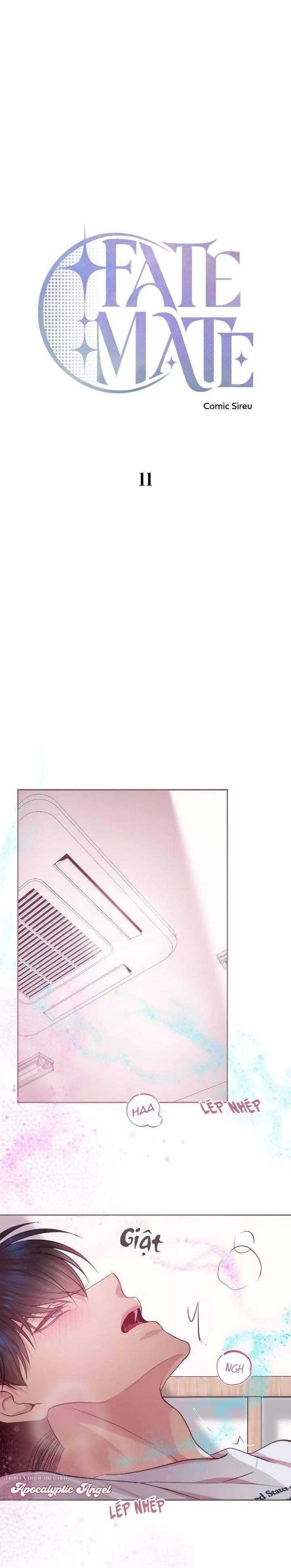 đọc truyện Bạn Đời Định Mệnh Chương 11 ảnh 12 tại Truyện Dạ Ký