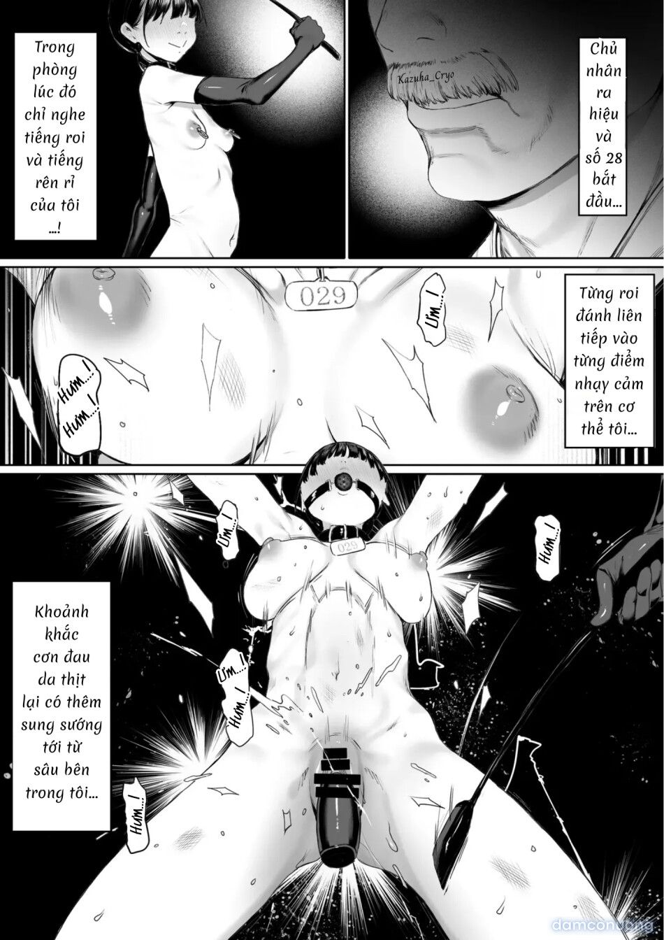 đọc truyện Bản Hợp Đồng Nô Lệ...! Chương 0 ảnh 73 tại Thiên Thai Truyện