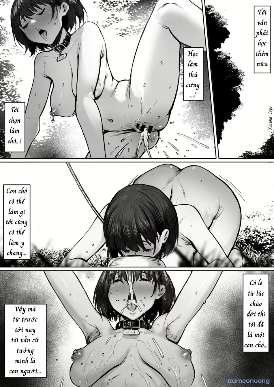 đọc truyện Bản Hợp Đồng Nô Lệ...! Chương 2 ảnh 57 tại Thiên Thai Truyện