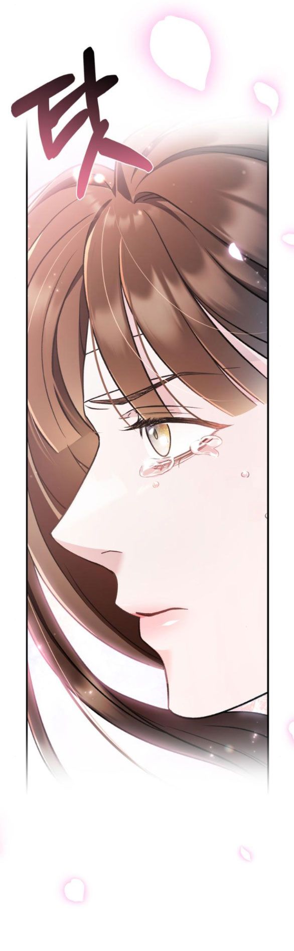 đọc truyện Bản Tình Ca Heeran Chương 62.2 ảnh 10 tại Thiên Thai Truyện